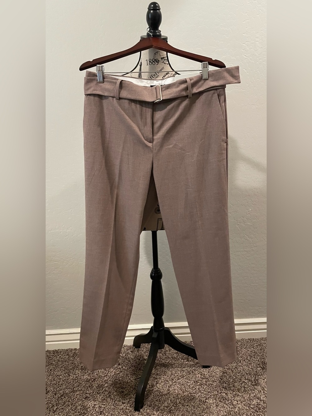 Ann Taylor Women’s Pants in Taupe